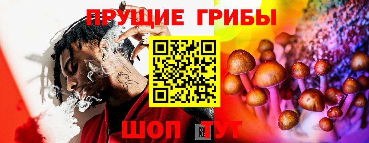 Галлюциногенные грибы Magic Shrooms Великий Устюг