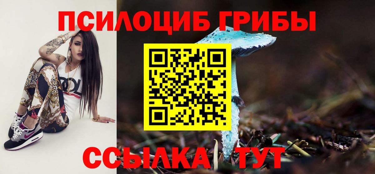 Галлюциногенные грибы MAGIC MUSHROOMS  Псилоцибиновые грибы Psilocybine cubensis  закладка  Вход с VPN  Великий Устюг 